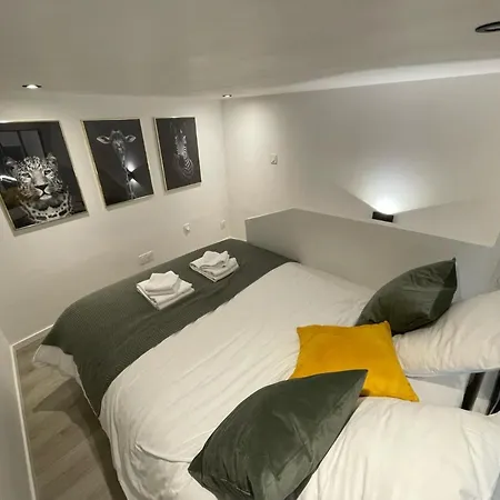 Apartment Speciale - Jolie Pepite Au Coeur De Nantes