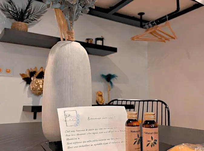 Le Somptueux - A 200m Du Passage Pommeraye Appartement