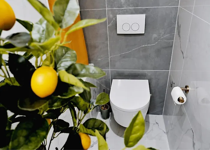 Le Somptueux - A 200M Du Passage Pommeraye