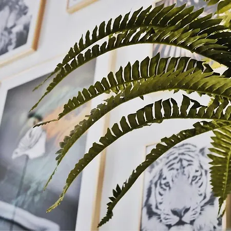 Le Somptueux - Jolie Pepite Au Coeur De * Nantes