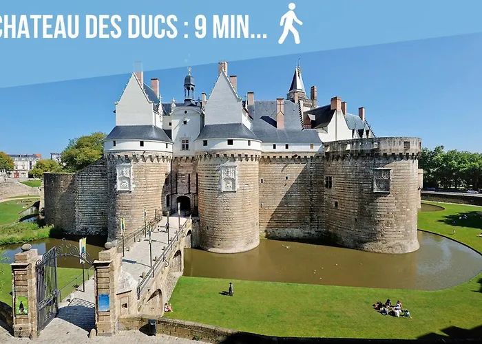 Le Somptueux - A 200m Du Passage Pommeraye Daire Nantes