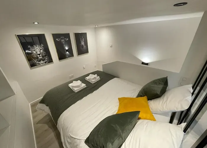 Apartament Le Somptueux - A 200m Du Passage Pommeraye Nantes